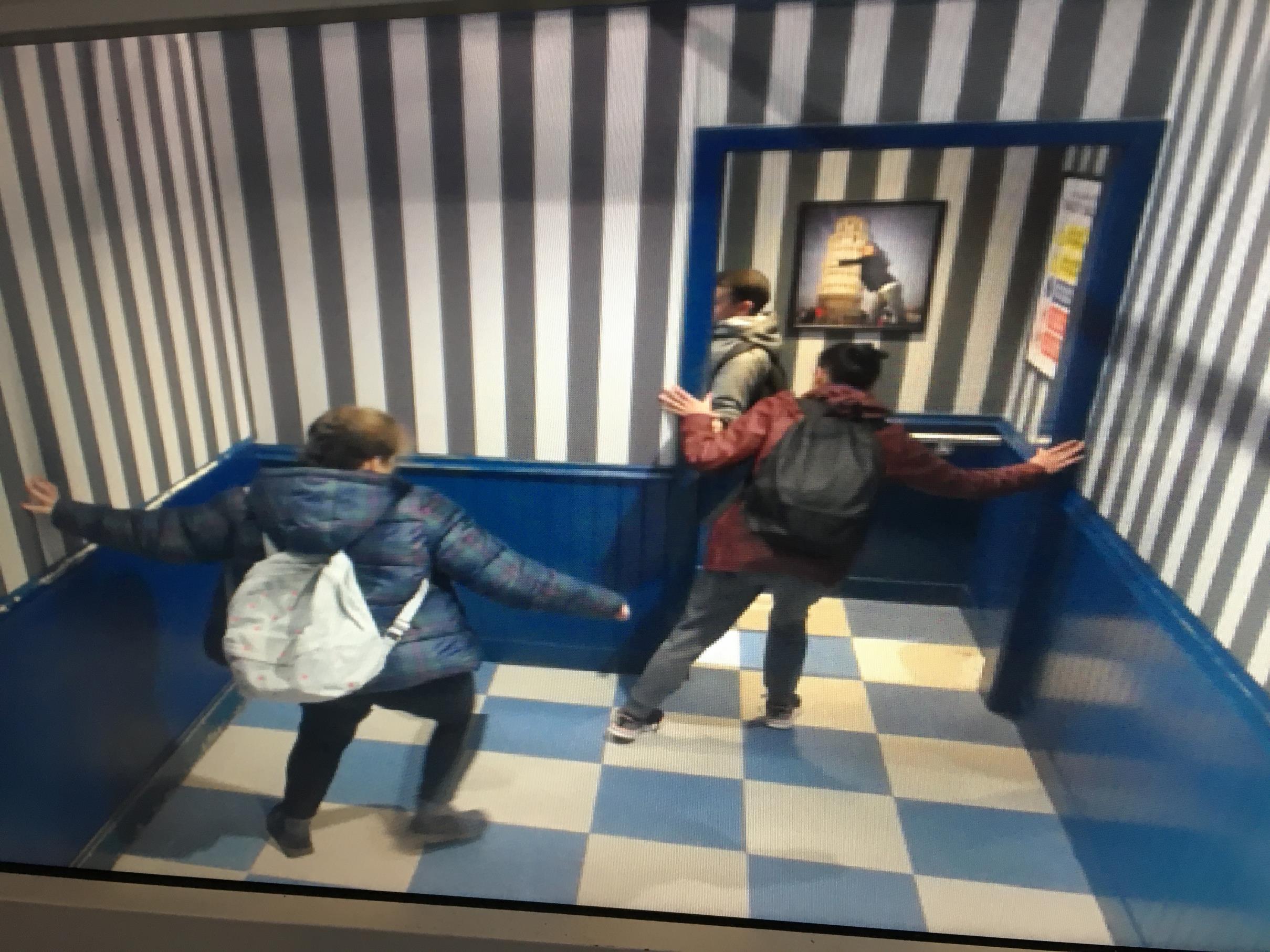 IMG 3866