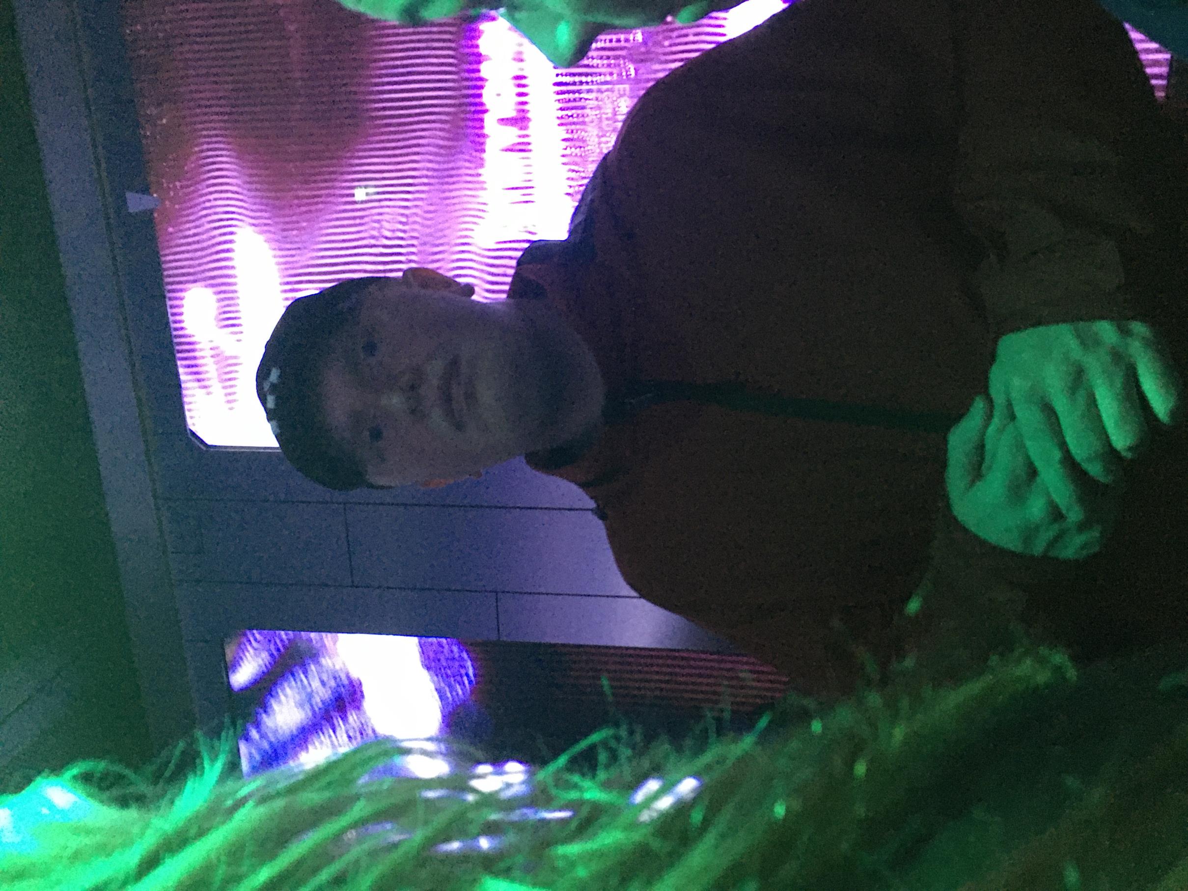 IMG 3953