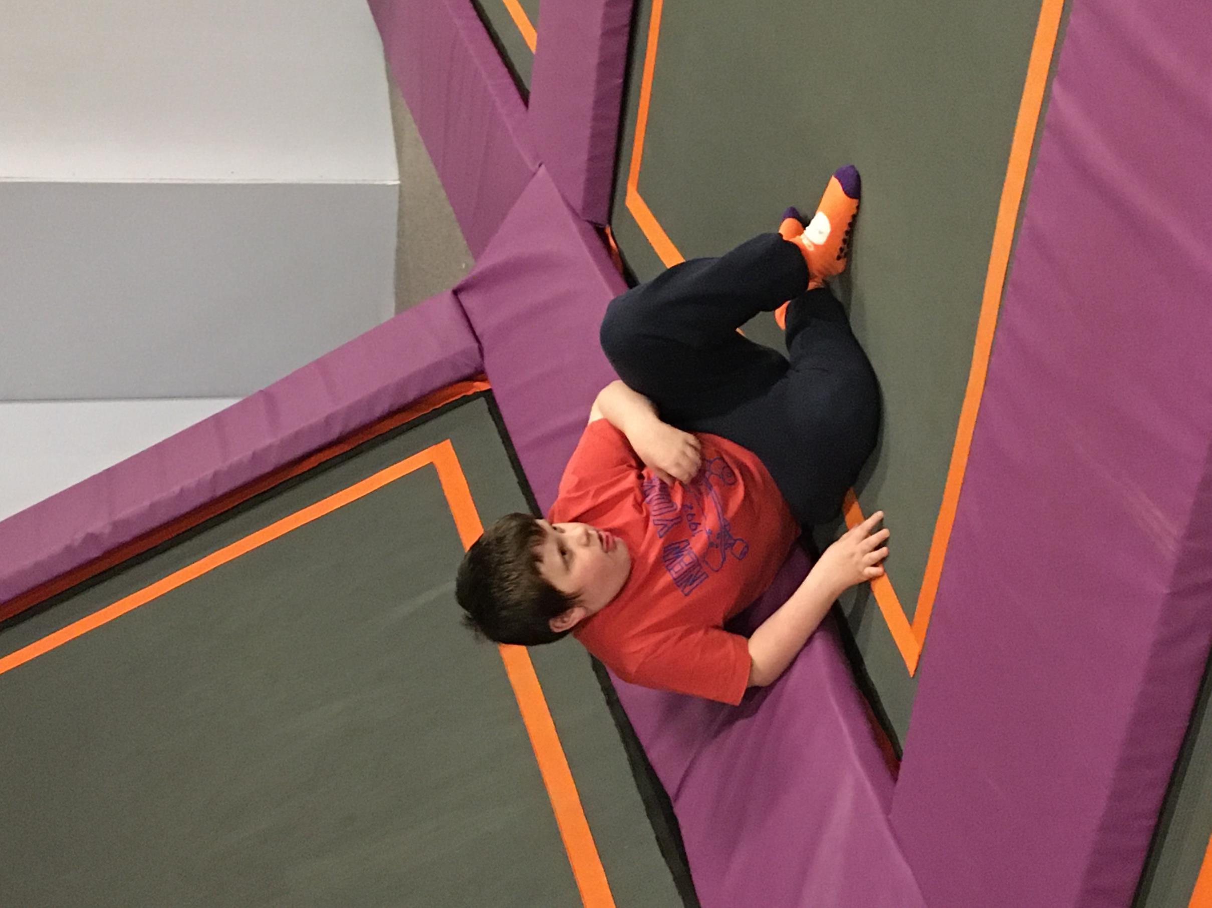 IMG 0293
